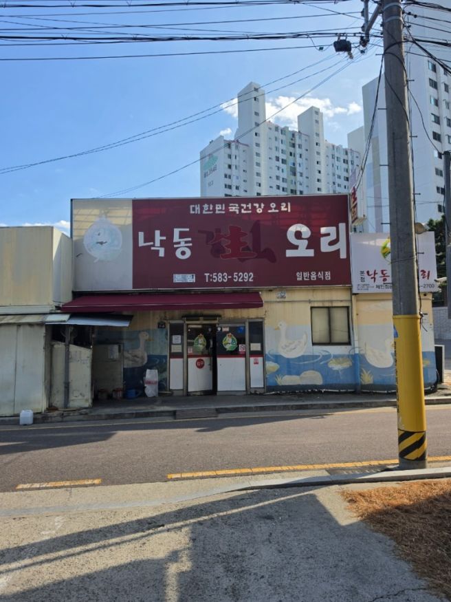 대구 다사 맛집 낙동생오리 본점, 회식으로 왔다.