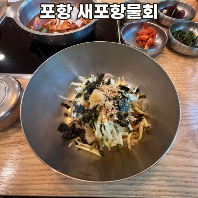 포항 새포항물회 맛집 고추장물회 포항물회 광어