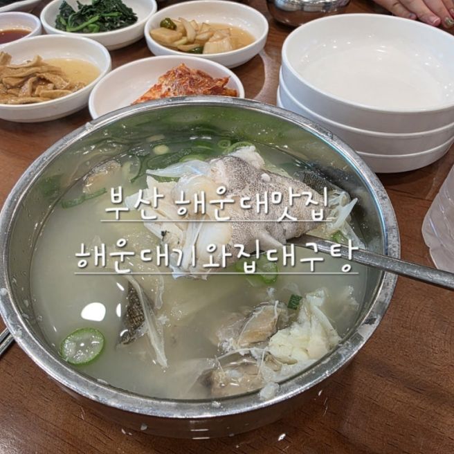부산 해운대 맛집 해운대기와집대구탕 맑은 국물 인생 대구탕 찾음‼️