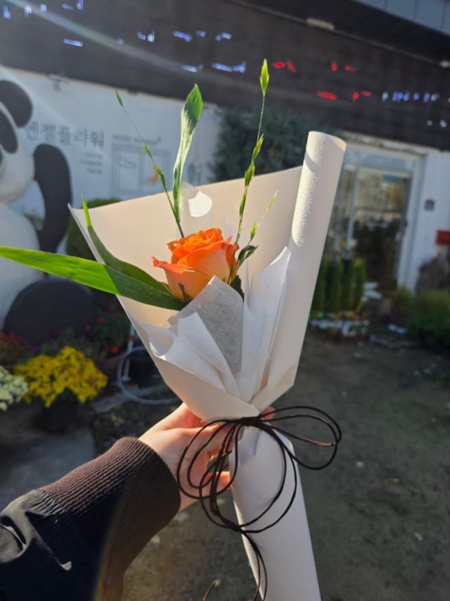 251115 안동 여행 Day 2 / 용계리 은행나무