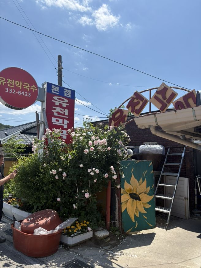 평창 오대산 당일치기 맛집 [유천막국수 본점]