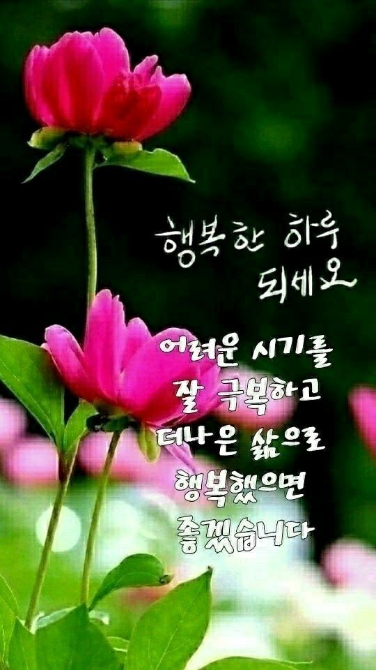 ��� �̹���