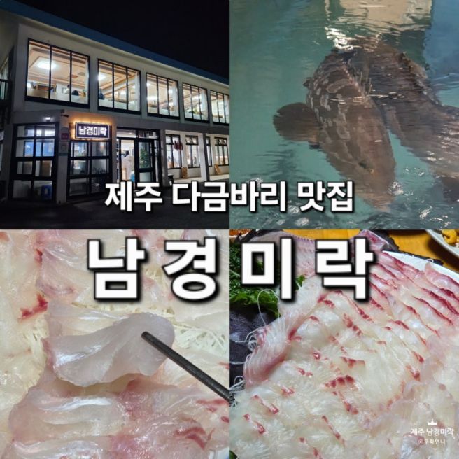 제주 자연산 다금바리 '남경미락'｜서귀포 고급 회 맛집