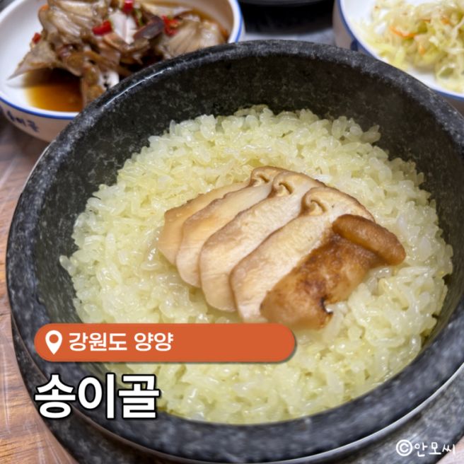 양양 송이골, 아기랑 먹은 송이돌솥정식 내돈내산 맛집