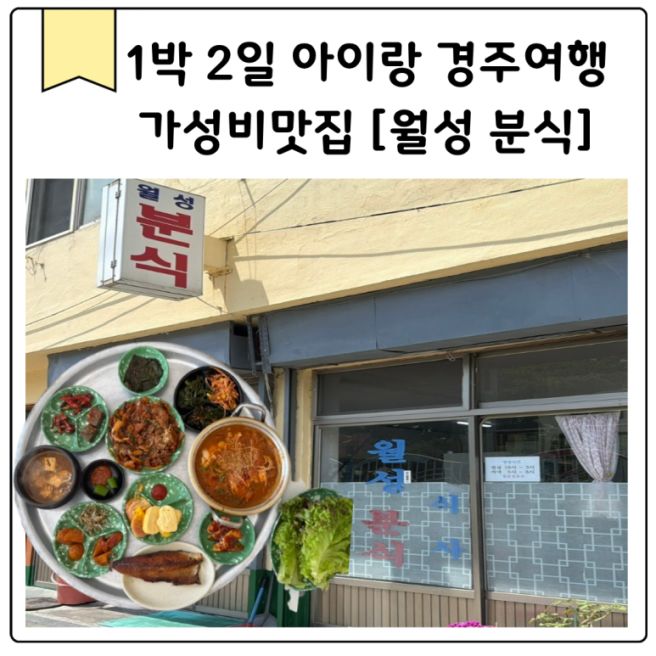 경주 현지인 맛집 월성분식 제육볶음 김치찌개 가성비 백반 솔직후기