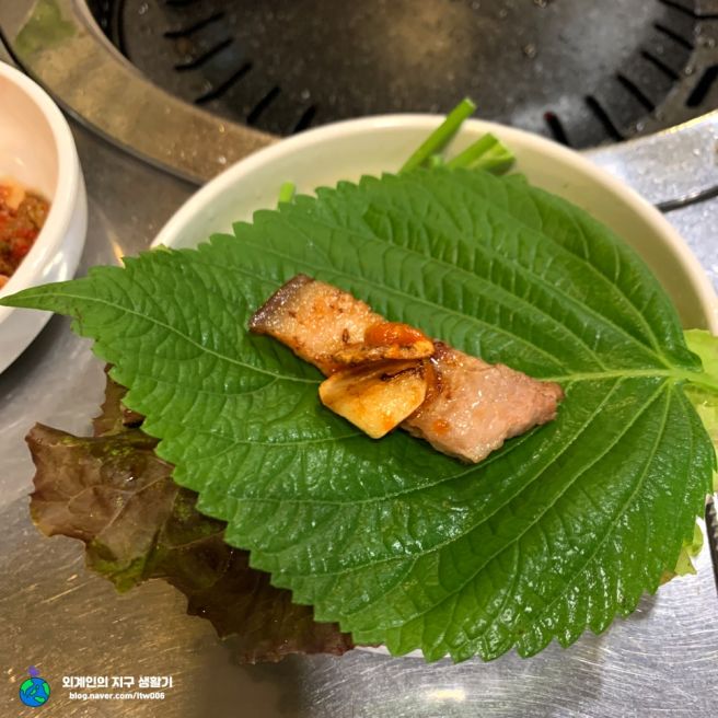 서울역 회식 맛집, 가정집 분위기의 [생고기 통술집]