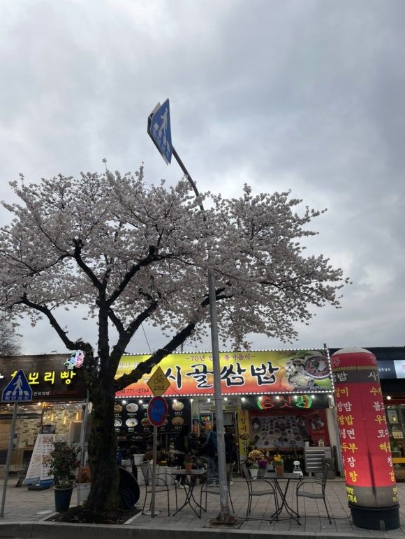 경주 첨성대•대릉원 한식 전문점 관광지 근처 맛집 시골쌈밥