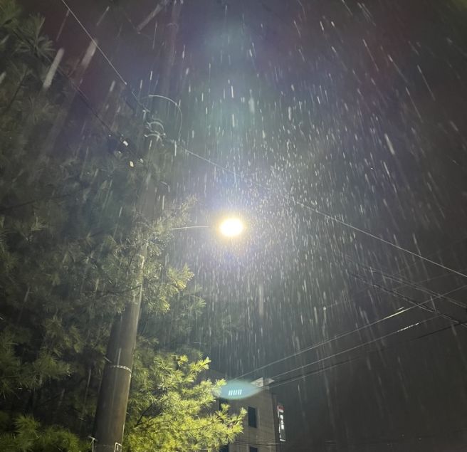 [경산] 고깃집 모음 소담숯불, 명성가왕솥뚜껑, 고기사랑꾼, 팔팔한돼지 feat. 달술