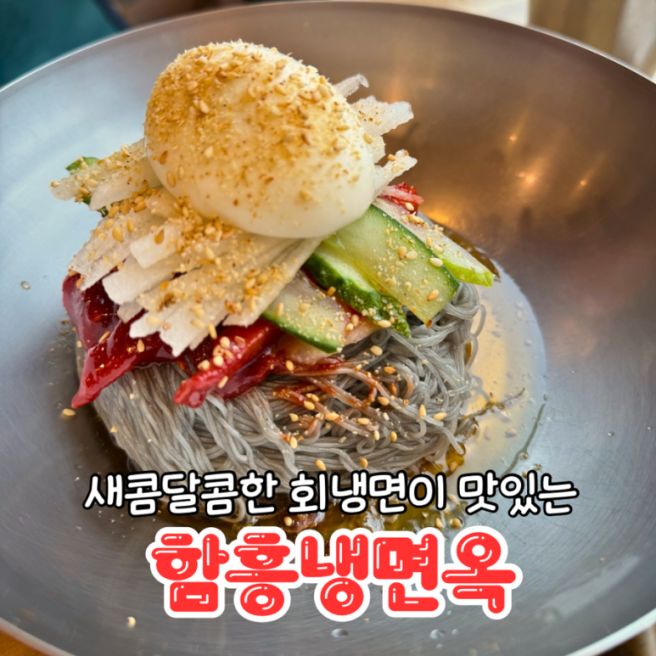 춘천 함흥냉면옥 퇴계점 회냉면 맛집