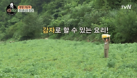 감자로 할수있는 요리! 하나둘셋! 이벤트는 멈추지 않는다 | tvN 201009 방송