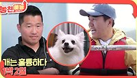 놓친 예능 따라잡기(개는 훌륭하다 / 1박 2일) | KBS 240502 방송 