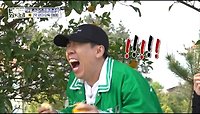 [홈즈후공개] 제주 하귤 침터파크, MBC 240509 방송 