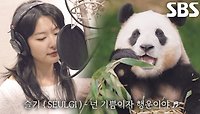 [스페셜] 푸바오와 할부지2 OST ‘슬기(SEULGI) - 넌 기쁨이자 행운이야’
