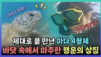 《스페셜》 🥽스노쿨링 도중 바닷 속 행운의 상징을 만난 마다 4형제 (feat.바다거북🐢), MBC 240204 방송