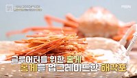 혈당+비만 잡는 해결사 해각포 MBN 240510 방송