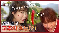 [2회 예고] 고추🌶️의 효능(?) l 홍판사판 | EP.02 | KBS Joy 240404 방송