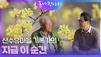 산수유마을 기록가의 지금 이 순간 | KBS 240413 방송 