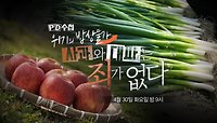 [예고] 위기의 밥상물가 사과와 대파는 죄가 없다 - PD수첩, MBC 240430 방송