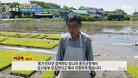 '여행하고 돈 벌고' 도시 은퇴자 농부 체험기!, MBC 240520 방송