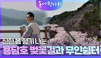 진한 봄 향기 나는 용담호 벚꽃길과 무인쉼터 | KBS 240504 방송 