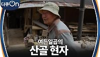 여든일곱의 산골 현자 (賢者) | KBS 240413 방송 