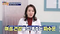 🤍YT1🤍 갱년기 증상 완화를 도와주는 갱년기 유산균 TV CHOSUN 240506방송