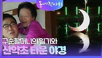 구순할머니의 일기와 산약초 타운 야경 | KBS 240504 방송 