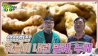 생생현장 : 하늘이 내린 벌레, 누에 | KBS 240513 방송 