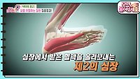 [닥터의 경고] 제2의 심장, 발이 건강해야 장수한다! 발 건강 테스트! | KBS 240520 방송 