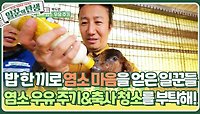 밥 한 끼로 염소 마음을 얻은 일꾼들😊 염소 우유 주기&축사 청소를 부탁해! | KBS 240522 방송 