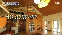 집을 관통한 나무?!🌳 자연의 재료로만 지은 친환경 황토배기 하우스, MBC 240509 방송 