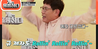 개는 훌륭하다 85회