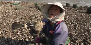 다큐멘터리 3일 606회