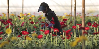 다큐멘터리 3일 618회