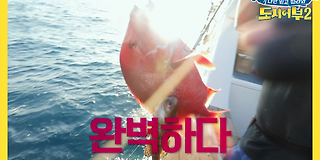 도시어부2: 대항해시대 1회