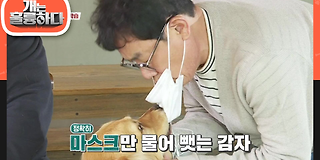 개는 훌륭하다 79회