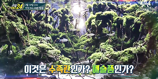 관찰 카메라 24 180회