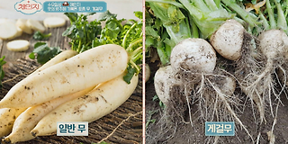 체인지 69회