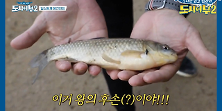 나만 믿고 따라와, 도시어부 2 29회