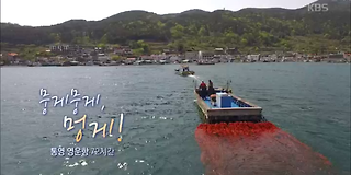 다큐멘터리 3일 625회