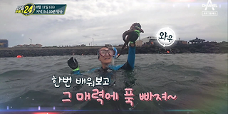 관찰 카메라 24 201회