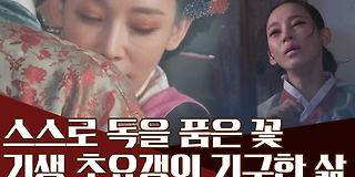 천일야사(史) 195회