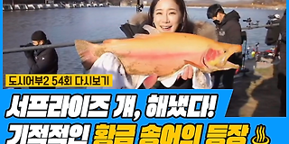 나만 믿고 따라와, 도시어부 2 54회