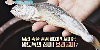 체인지 55회