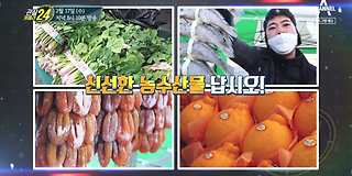 관찰 카메라 24 177회