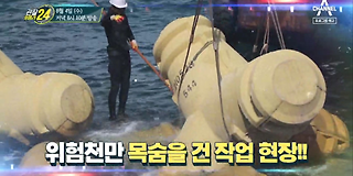 관찰 카메라 24 200회