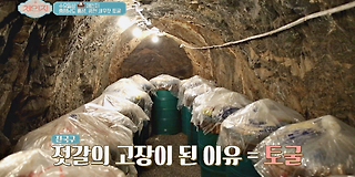 체인지 74회