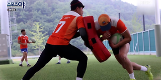 스포츠 야 331회