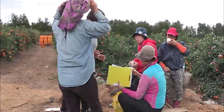 다큐멘터리 3일 605회