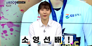 스포츠 야 314회